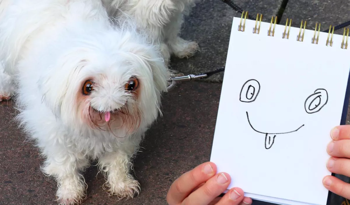 Így nézne ki, ha a gyereked rajzai valósággá válnának - Fotók