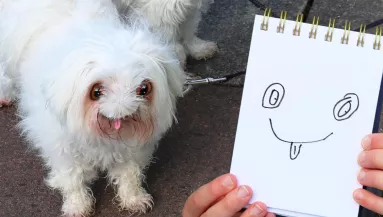 Így nézne ki, ha a gyereked rajzai valósággá válnának - Fotók