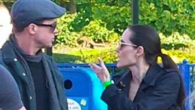 "Brad Pitt bekattant" - Kiszivárgott az FBI-akta tartalma a családi repülőútról