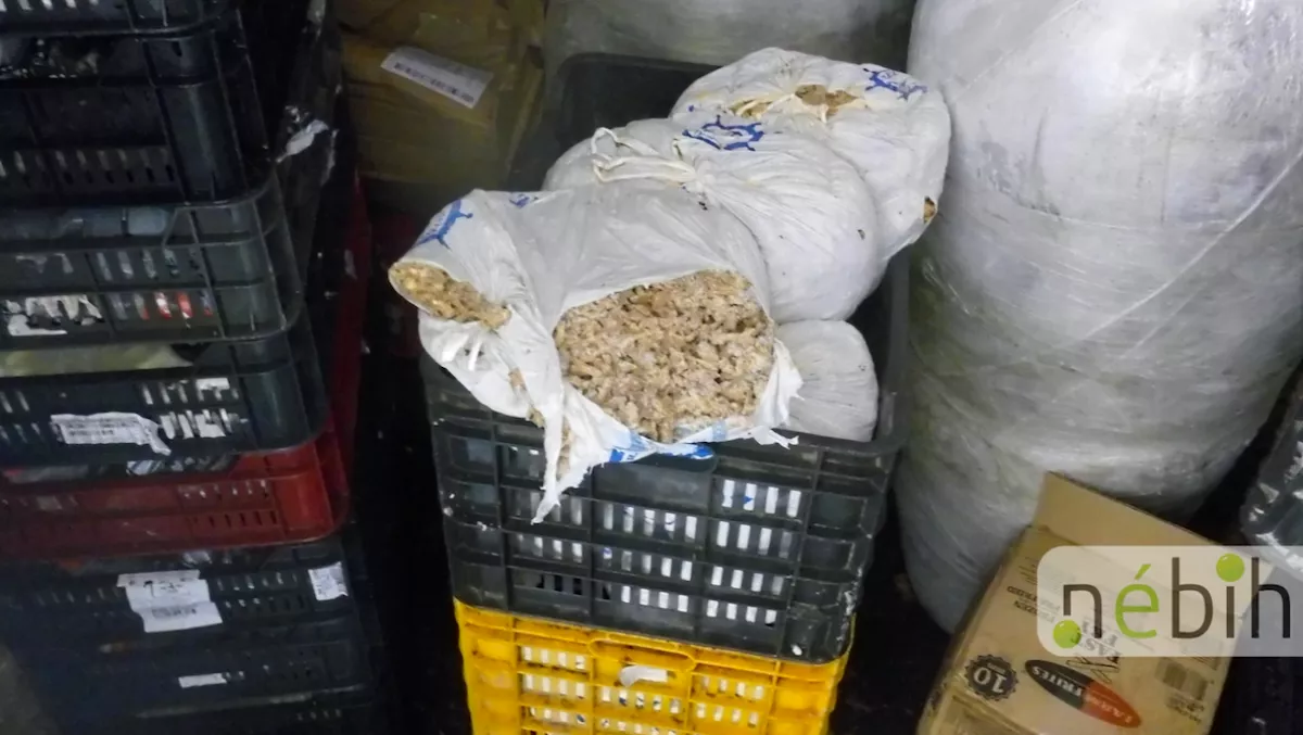 Gyomorforgató képek: azonnal bezáratták a balatoni éttermet - ez a látvány fogadta az ellenőröket