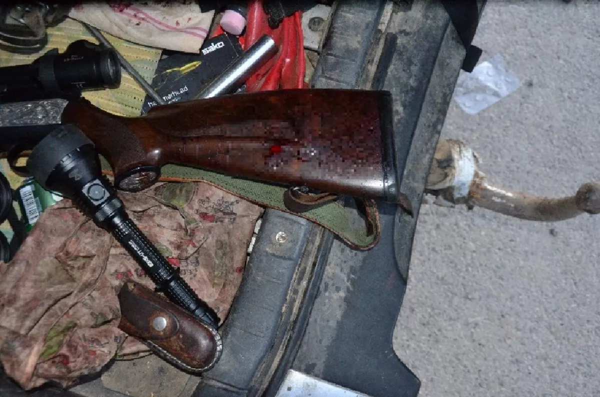 Vadászaton lőttek fejbe egy 42 éves férfit Nagybörzsönyben - Fotók