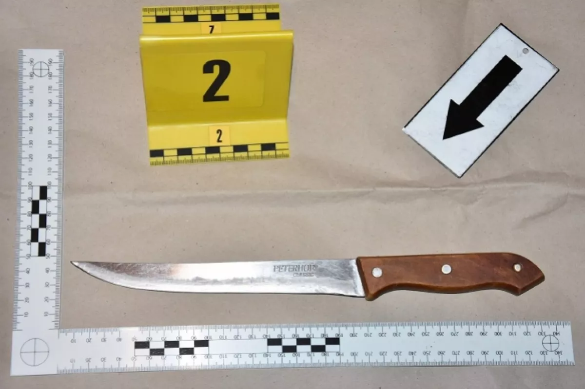 Hasba szúrta a fiát egy kisbéri apa - Fotók