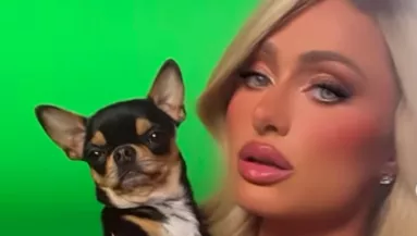 Tragikus hír érkezett Paris Hilton csivavájáról - Bő két hete tűnt el - Fotók