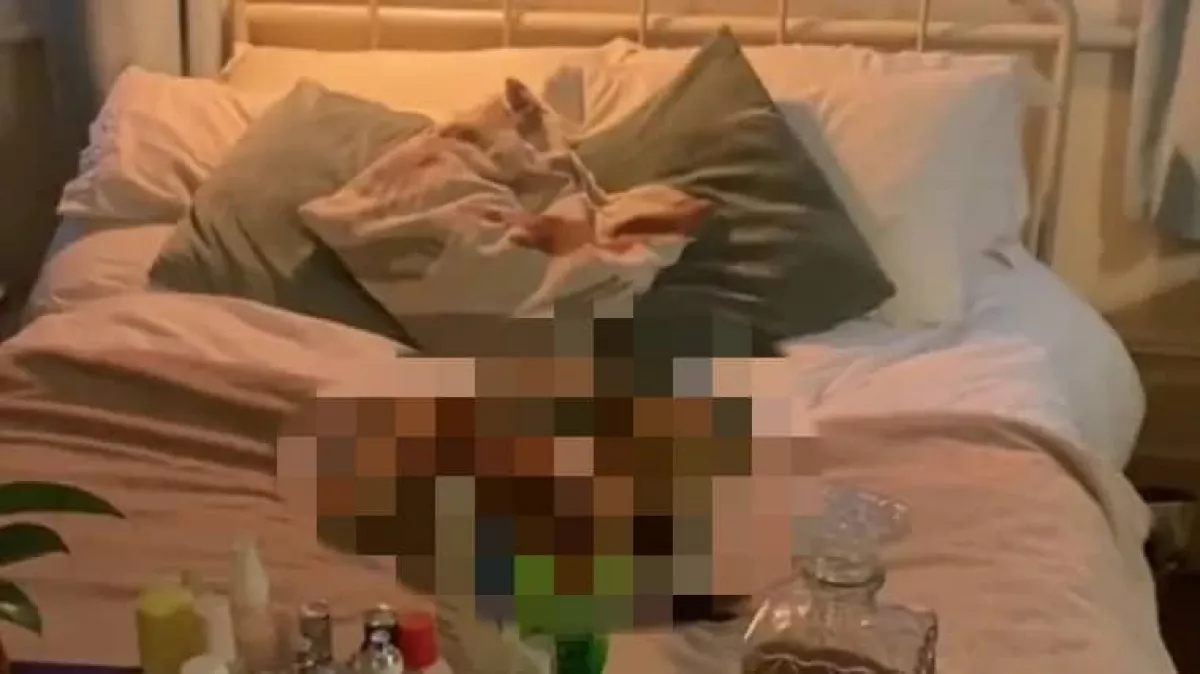 Bement a nő a hálószobájába, és sokkot kapott attól, amit az ágyában látott - Videó