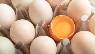 A hűtőszekrény ajtajában tartod a tojást? A szakértő szerint rosszul teszed