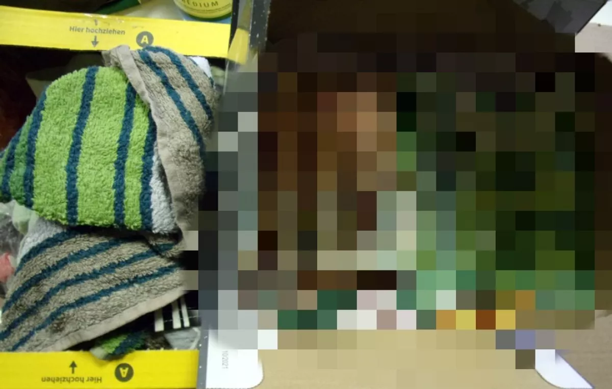 Kinyitották a szerelmes csomagot a vámosok, a tartalma kiverte a biztosítékot - Fotó