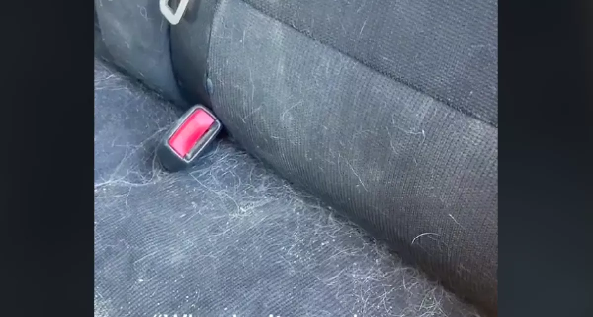 Három hónapja nem takarítja a nő az autóját, az oka milliók szemébe csal könnyeket