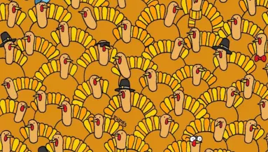 Megtalálod a sütőtököt a pulykák közt? - Zseniális rejtvény a magyar nettművésztől 