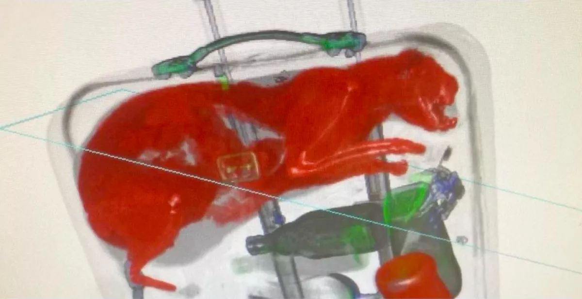 Sokk a repülőtéren: ezt a bőröndöt azonnal lefoglalták - Ez volt benne - Fotó