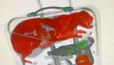 Sokk a repülőtéren: ezt a bőröndöt azonnal lefoglalták - Ez volt benne - Fotó