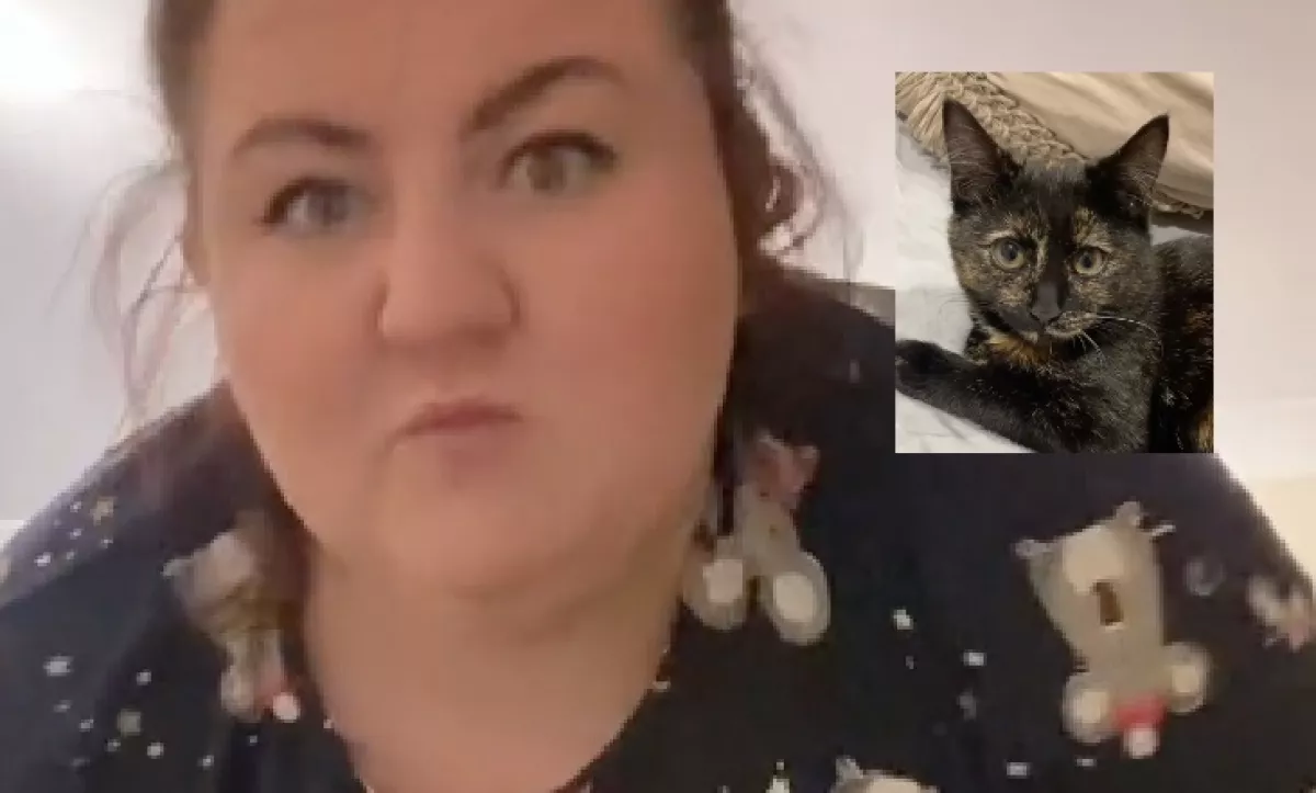 Megtámadta a macska a karácsonyfát, ami maradt belőle, azon pusztul a net - Videó