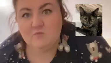 Megtámadta a macska a karácsonyfát, ami maradt belőle, azon pusztul a net - Videó