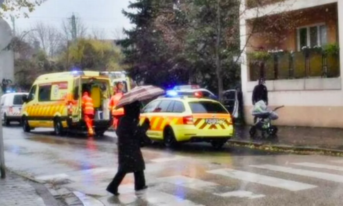 Képek érkeztek: babakocsis anyukát gázoltak el a zebrán - Fotók