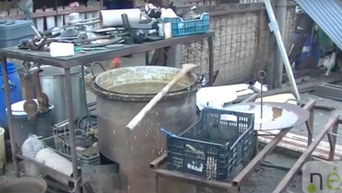 Sokkoló felvétel: ezen a telepen élelmiszert állítottak elő - Lecsapott a NÉBIH (18+)