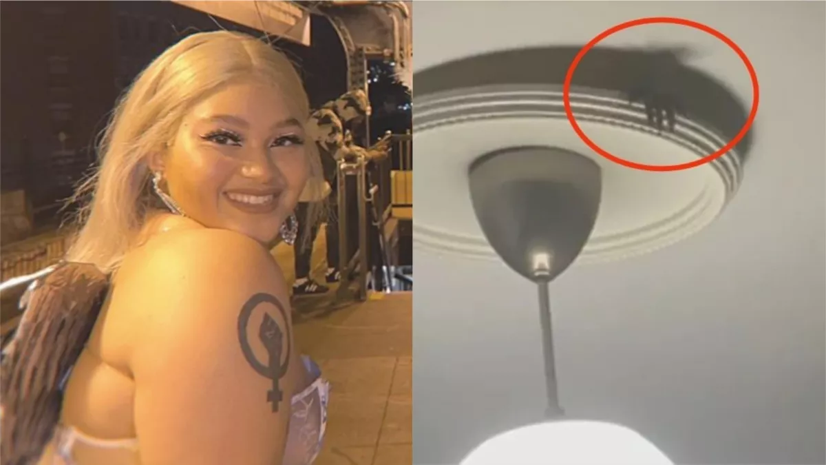 Megmozdult a csillár, majd megjelent egy szőrös kis kar - Sokkoló videót készített a diáklány