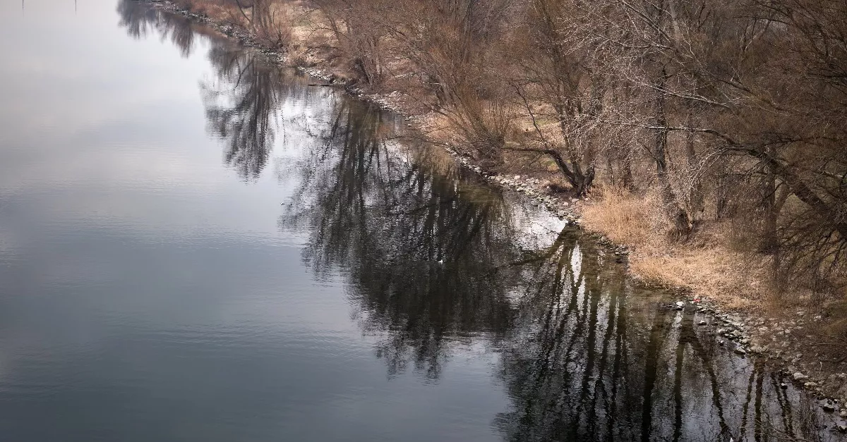 Döbbenet: méhlepényt és köldökzsinórt talált egy járókelő a Duna-parton, nyomoz a rendőrség