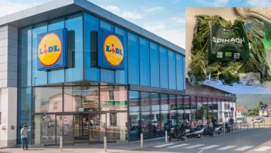 Lidl vacsora: hatalmasat sikított a nő, amikor ezt találta a zacskós spenótban