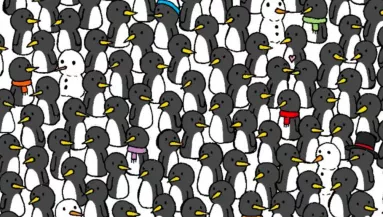 Csak minden 3. embernek sikerül: megtalálod a 3 macskát a képen egy perc alatt?