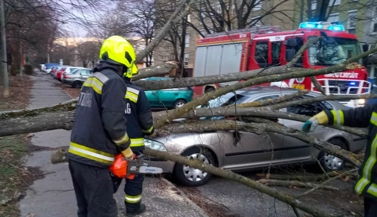 Kidőlt fák, megrongált házak, letört ágak, összetört autók - Megrázó képek a viharról