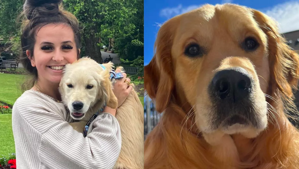 Megtudta a 21 éves lány, a 3 éves kutyája meg fog halni, amit ezután tett, meghatja a világot - Videók