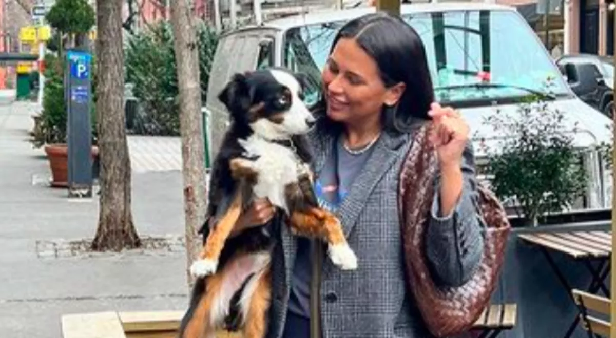 Nem akarja a kutya, hogy a gazdija dolgozzon: amit tesz, azon nevet az egész világ - Videó