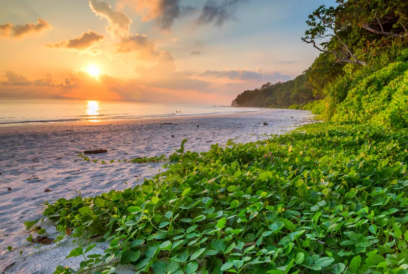 Radha Nagar Beach, Havelock Island, India