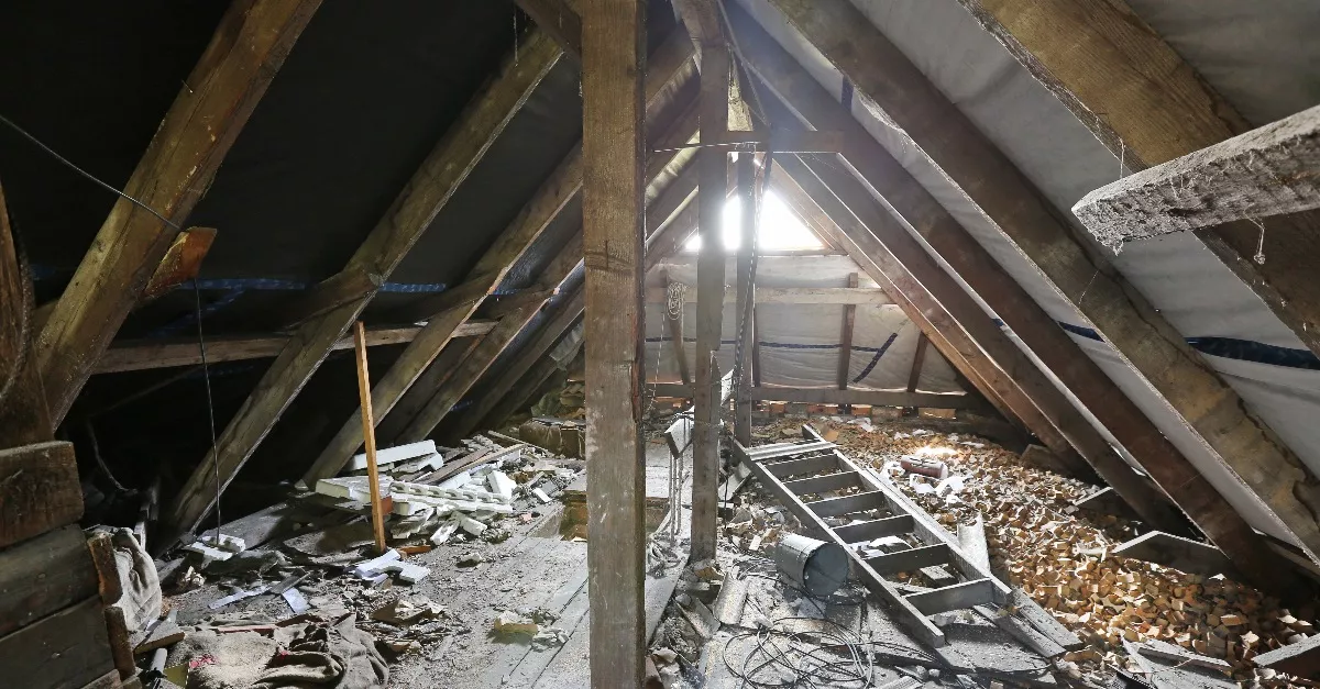 Először ment fel a család a házuk padlására, sokkolta őket, amit találtak