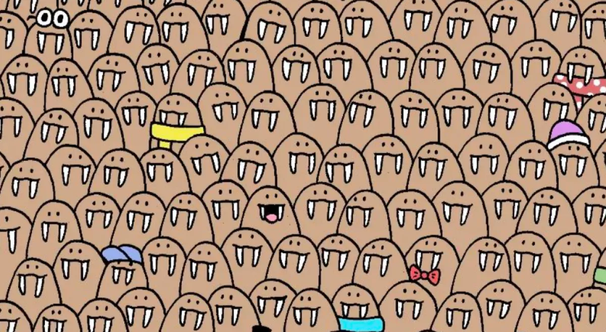 Csak minden 10. embernek sikerül: megtalálod az 5 fókát a képen? 