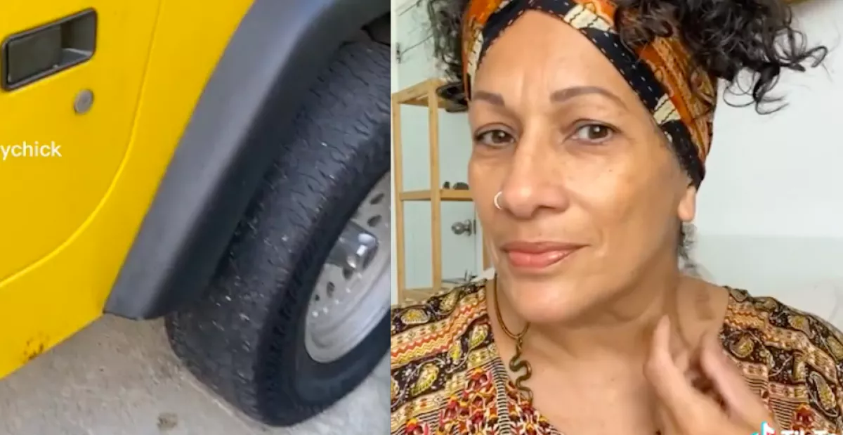 Hagyta Eva, hogy a kóbor cica a kocsijában aludjon, reggel azonban nagy meglepetés fogadta - Videó