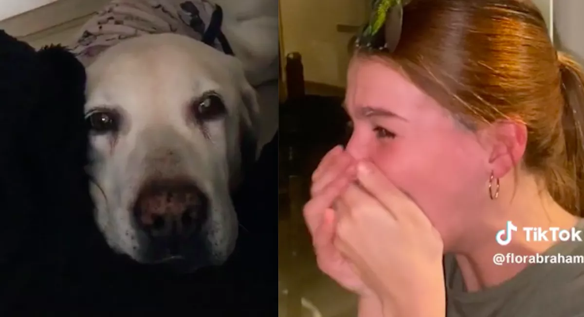 Halott kutyájától kért egy túlvilági jelet Flora, ami ezután történt, attól zokogásban tört ki - Videó