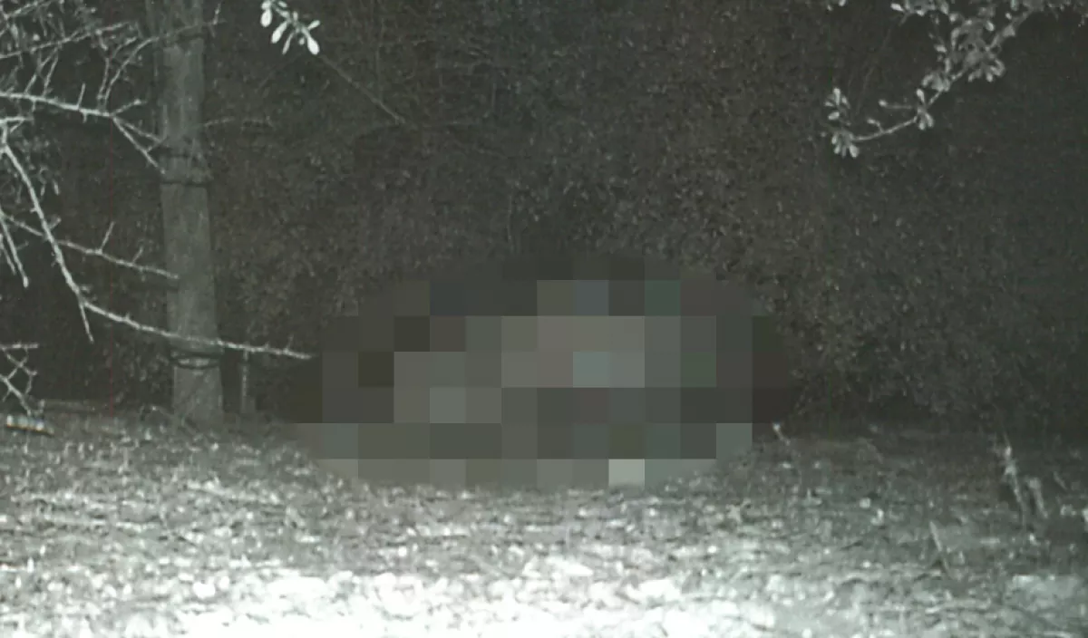 "Mi ez?" - Szokatlan állat kelt riadalmat: egy látogató fotózta le