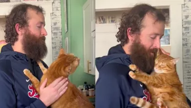 Totál kiborult a macska, miután a gazdája levágta a szakállát és a haját - Videó