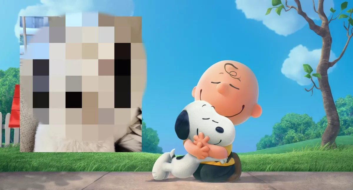 Snoopy, te vagy az? - Megőrül a világ a mesehős élő klónjáért - Fotó