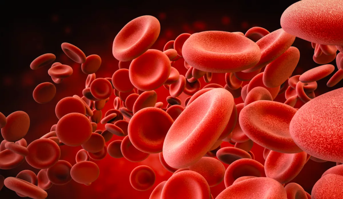 Mi a vércsoportod? A japán horoszkóp szerint ezt jelenti