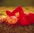 Shania Twain