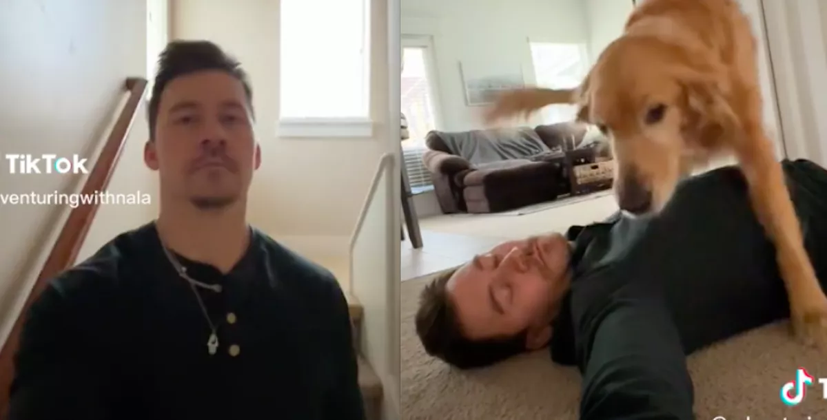 Ez a kutya tudja, mi a dolga, ha a gazdi stresszesen jön haza a munkából - Videó