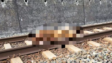 Drámai képek: két mozdonyvezető is jelentette, egy elgázolt medve fekszik a síneken - Fotók