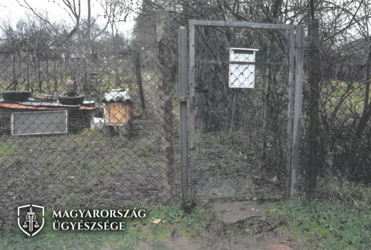 Megrázó képek a helyszínről: agyonütötte a kutyáját egy pécsi férfi, mert kiszökött