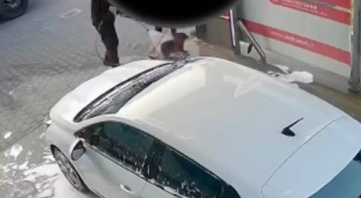 Megrázó felvétel: autómosóban tisztította meg a kutyáját egy férfi - nem marad következmények nélkül