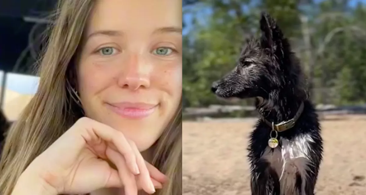 Ideiglenesen akarta befogadni a kutyát a nő: ami ezután történt, összetörte a szívét - Videó