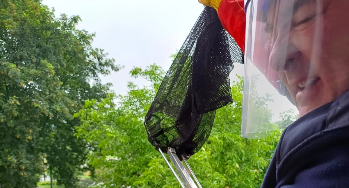 Rémálom, mi költözött a nő hálószobájába: éjszakára a folyosóra szorult - Fotók