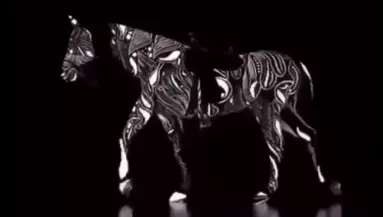 Szerinted jobbra, vagy balra megy ez a ló? Ezt árulja el rólad a válaszod - Videó