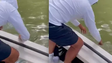 Sokkoló dolog történt miután a horgász belenyúlt a vízbe - Videó