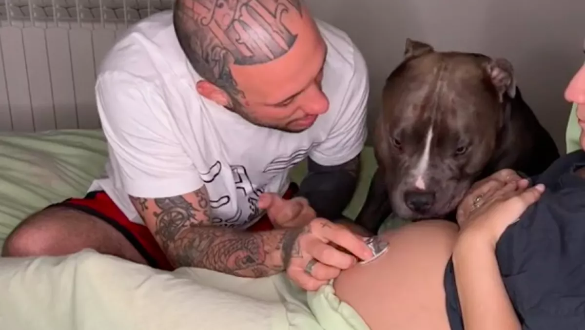 Terhes a nő: amit a harckutya tesz, miután meghallotta a baba szívdobogását, megolvasztja a szíveket - Videó