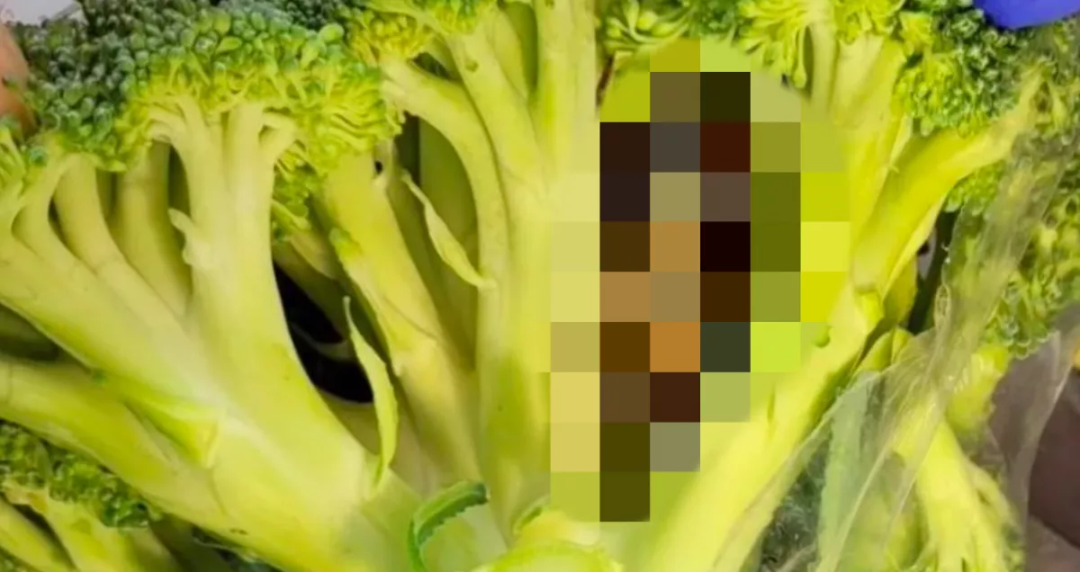 Brokkolit vett az Aldiban a férfi: sokkolta, amit otthon benne talált - Fotó