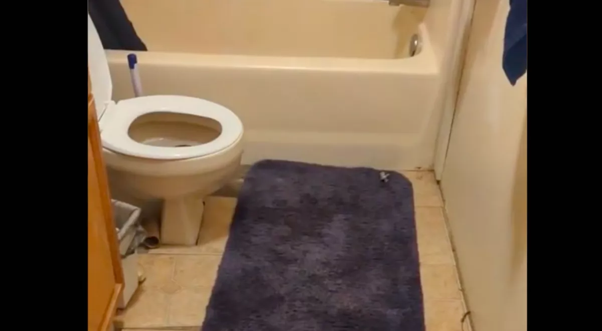 Zokogva ordított a terhes nő, amikor pisilés után belenézett a WC-be - Videó 