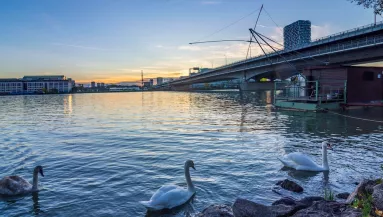 Egy 5 éves kisfiú holtteste úszott a Dunában: hajtóvadászat indult az apja után