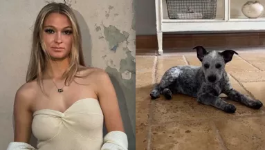 Az egyetemre pakolt be a diáklány: amit a kutyája nem sokkal ezután tett, összetörte a szívét - Videó
