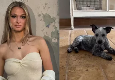 Az egyetemre pakolt be a diáklány: amit a kutyája nem sokkal ezután tett, összetörte a szívét - Videó