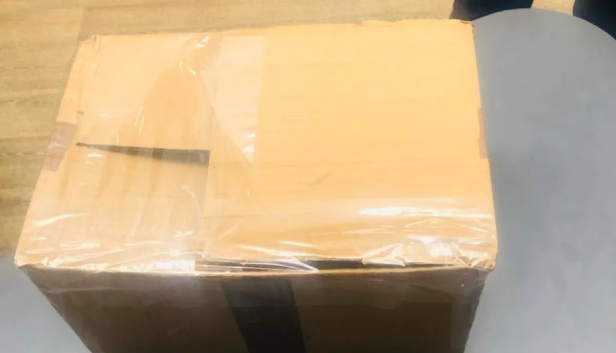 Segélykiáltásokat hallottak a dobozból az állatmentők: amit benne találtak, összetörte a szívüket - Fotók